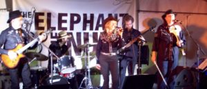 The Hoedown Band