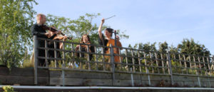 bcg-on-roof Bristol Ceilidh Quartet: Wedding Barn Dance and Ceilidh Band